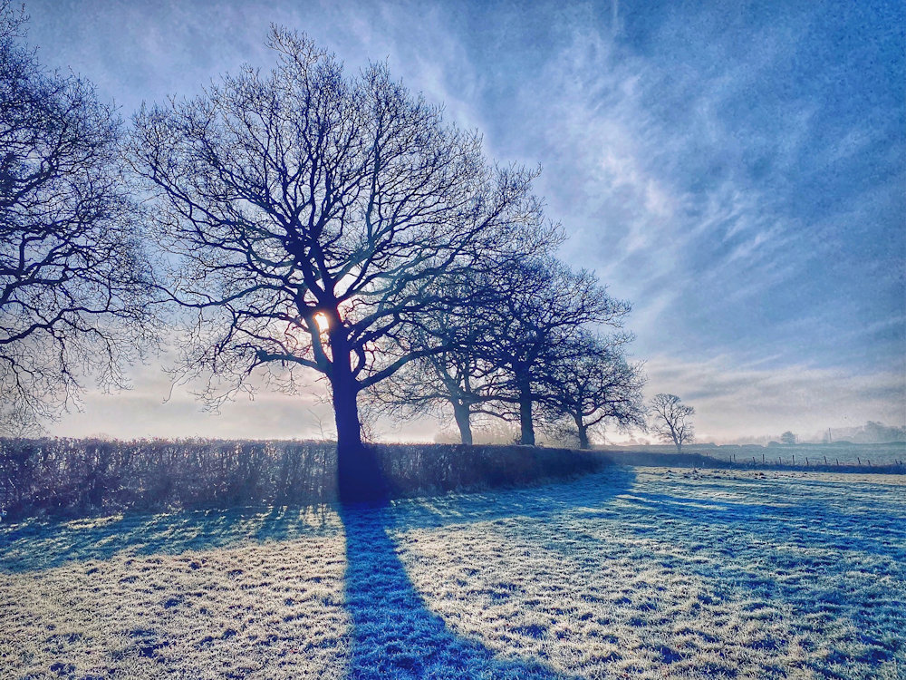 Tuckett Field Winterbourne Parish Council